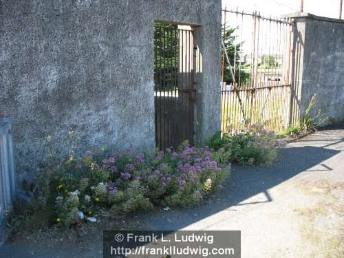 Disused Swimming Pool, Sligo